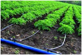 Системы автоматического полива грядок и огорода